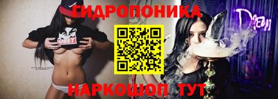 spice Волжск