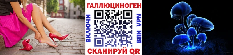сколько стоит Гурьевск Галлюциногенные грибы мицелий