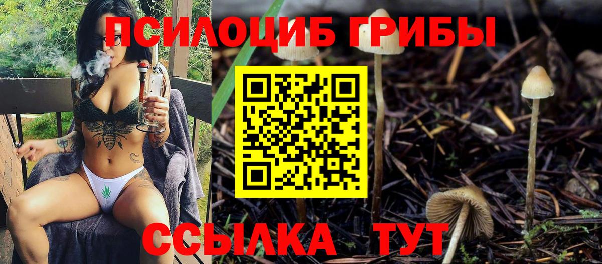 Галлюциногенные грибы Magic Shrooms Гурьевск