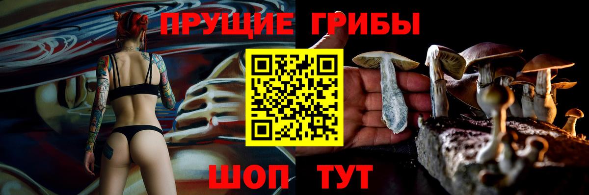Гурьевск  Галлюциногенные грибы Cubensis  Вход с VPN  Псилоцибиновые грибы мицелий 